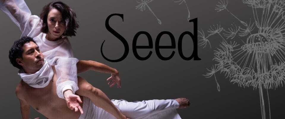 SEED
