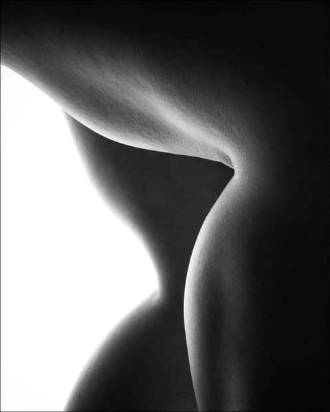 A Body of Work