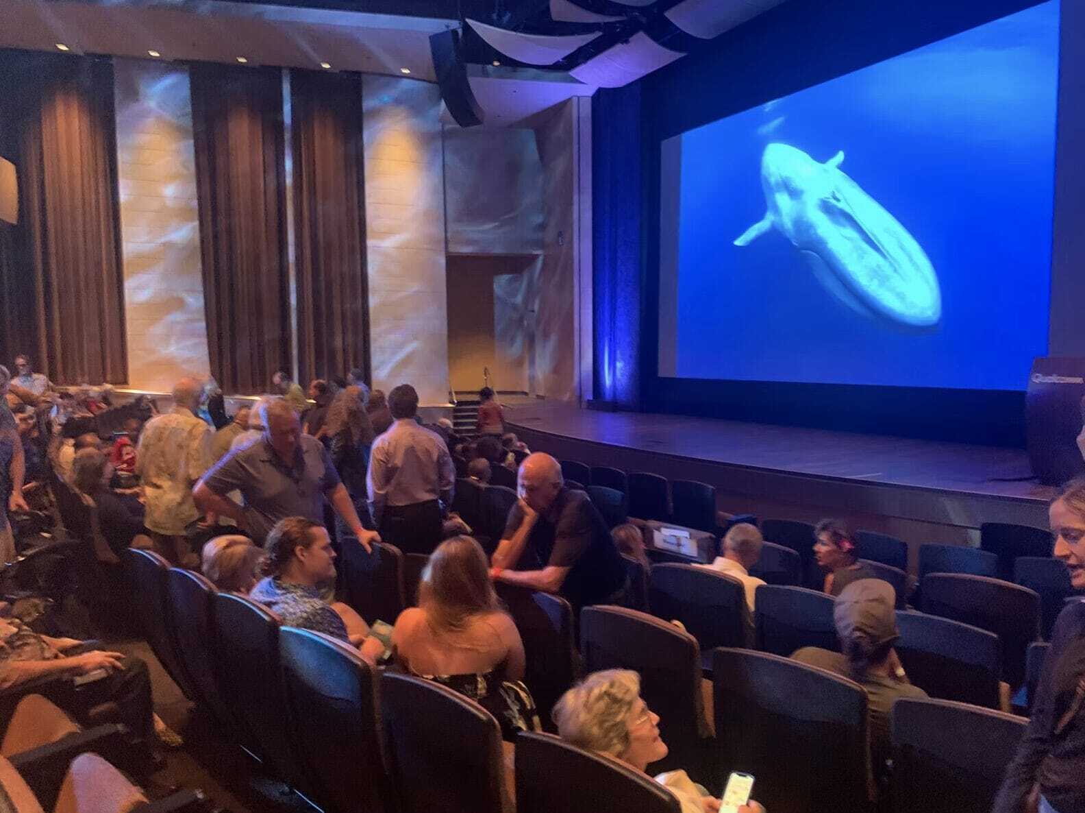 San Diego Undersea Film Exhibition