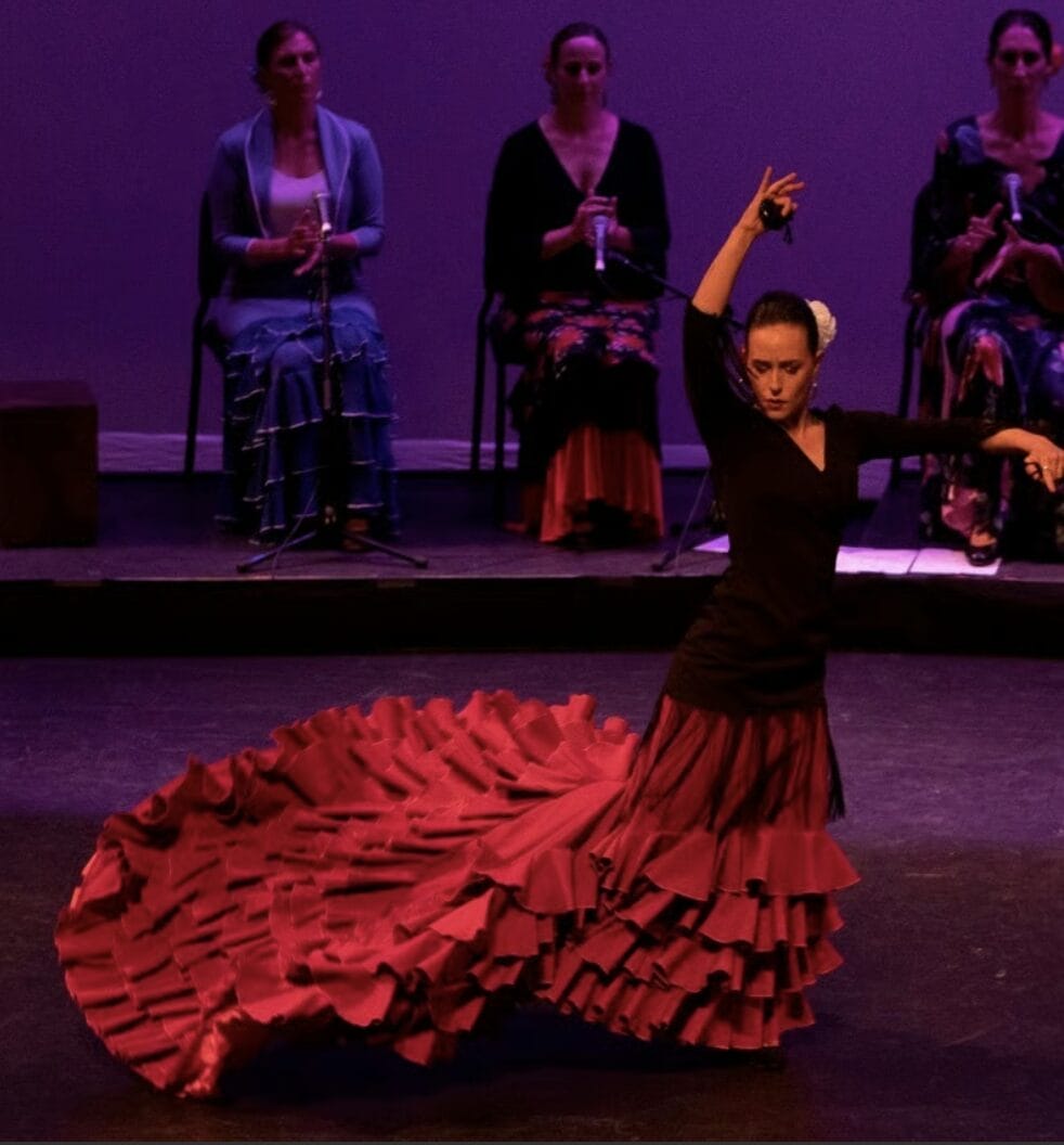 The workshop sessions: Flamenco!